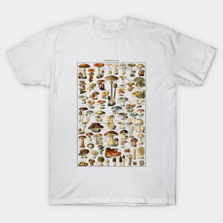 Antique Fungi Collection - Botanical Art Print T-Shirt